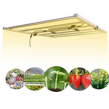 720W Marihuana LED Grow Lichter