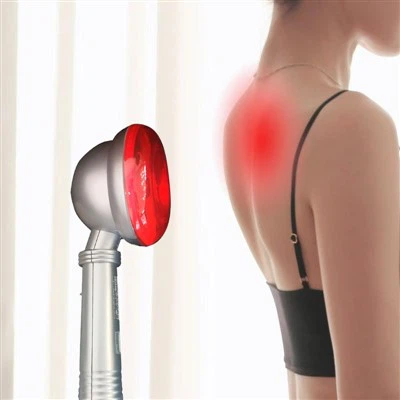 Haben Sie Ihre Haustiere im Winter warm gehalten?